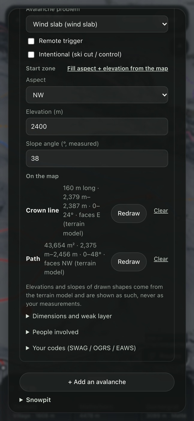 The pro report form with the avalanche section filled in